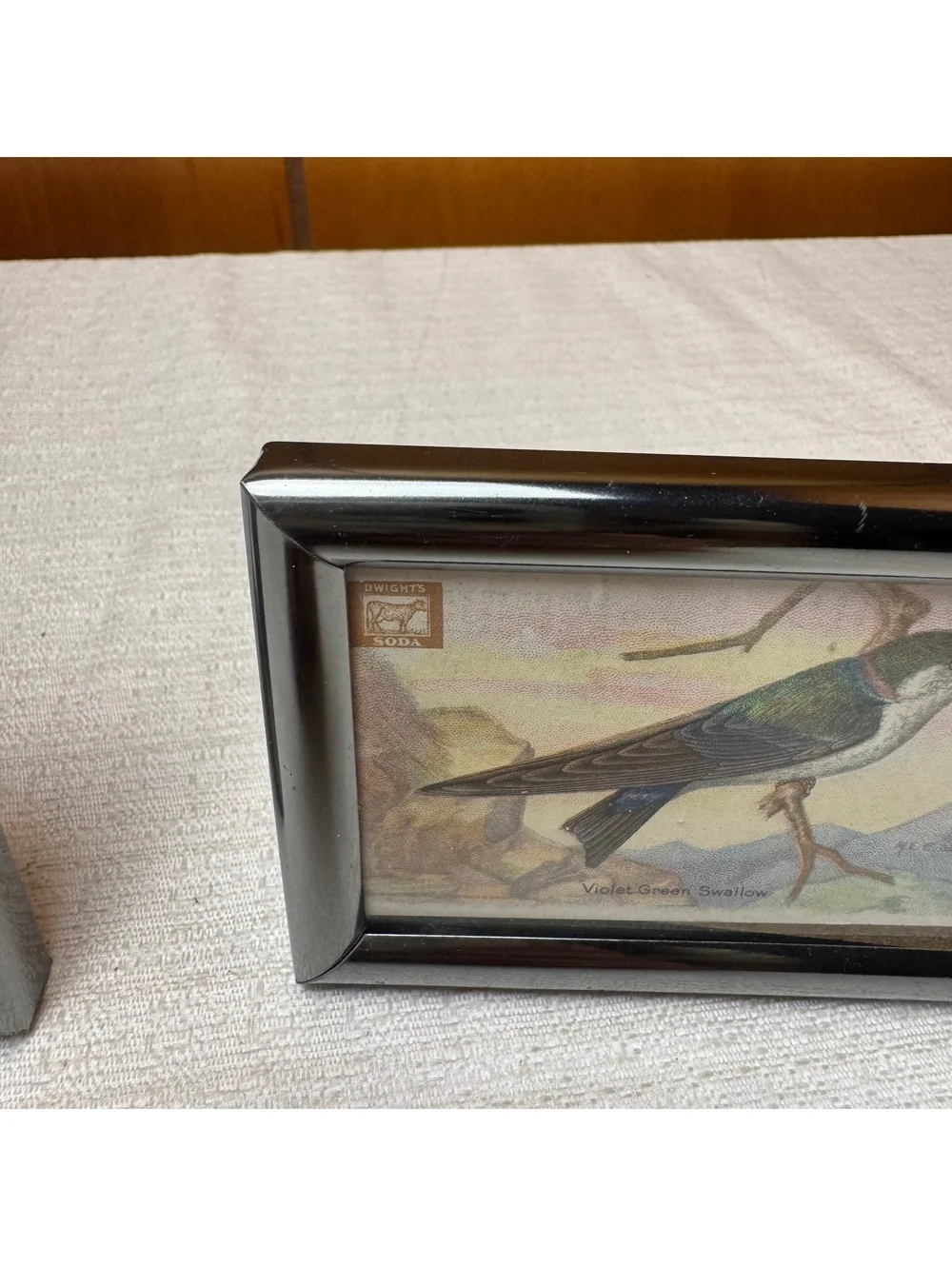 Vintage Mini Bird Prints in Silver Tone Frames Set of 2 Dwight’s Soda Card Art